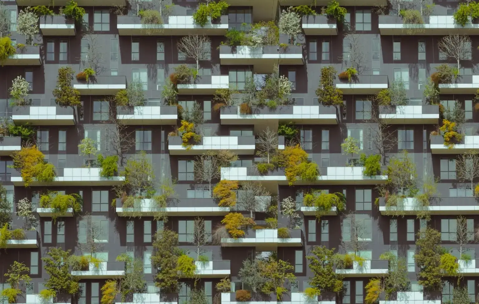 10 años de rigor, compromiso y vanguardia.